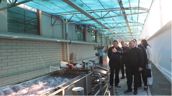 雙清區(qū)委書記曾秦偉帶隊走訪天香生物參觀調(diào)研，助力鄉(xiāng)村振興