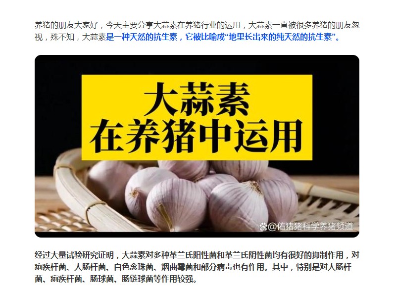 大蒜素在養(yǎng)豬行業(yè)的運用，您了解多少？