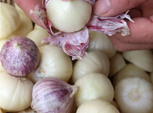 邵陽(yáng)諸多農(nóng)特產(chǎn)的發(fā)源地 關(guān)于家鄉(xiāng)的雪峰山你了解多少？